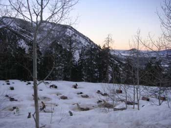 PICT0045