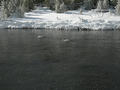 DSCN0246