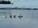DSCF0058