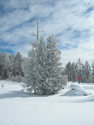 DSCN0304
