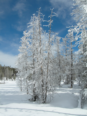 DSCN0319