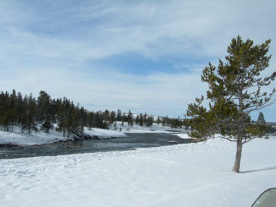 DSCN0537