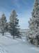 DSCN0230