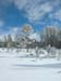 DSCN0308