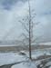 DSCN0421