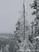 2010.02.10 BigWhite-082