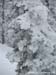 2010.02.10 BigWhite-088