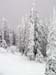 2010.02.12 BigWhite-252