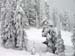 2010.02.12 BigWhite-254