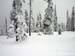 2010.02.12 BigWhite-257