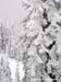 2010.02.12 BigWhite-261