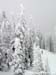2010.02.12 BigWhite-263