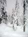 2010.02.12 BigWhite-267
