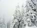 2010.02.12 BigWhite-271