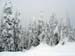 2010.02.12 BigWhite-273