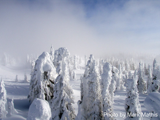 2010.02.13 BigWhite-300
