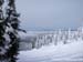 2010.02.15 BigWhite-450