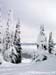 2010.02.15 BigWhite-456