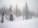 2010.02.16 BigWhite-507