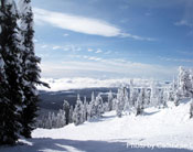 Sunny ski day