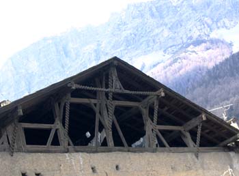 IMG_0545