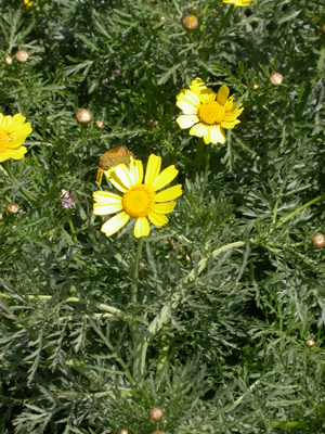 DSCN8207