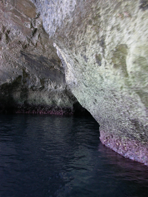 DSCN8305