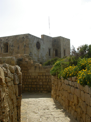 DSCN8360