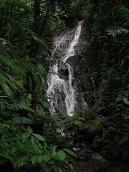 DSCN2349