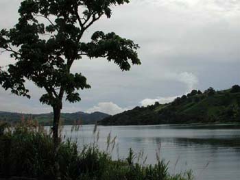 DSCN2452