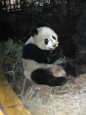 20Zoo003