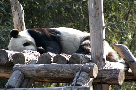 20Zoo006