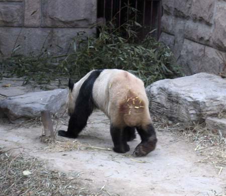 20Zoo009