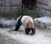 20Zoo009