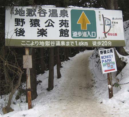 SnowMonkeys001