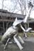 Nagano010