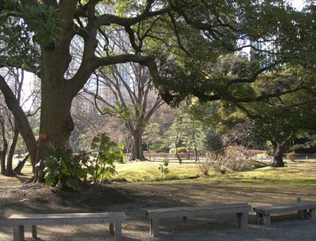 Tokyo037