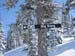 2009Kootney-Fernie064