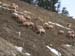 2009Kootney-OnTheRoad027