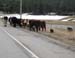 2009Kootney-OnTheRoad037