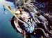 Q-Parapenting