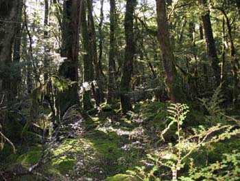 DSCN4574a-Jen_0057