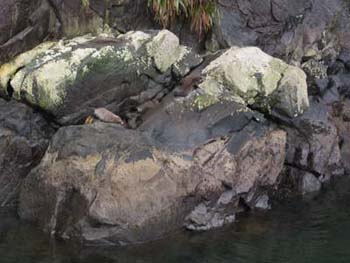 Jen_0137a-Jen_0144