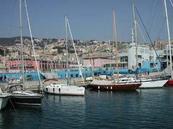 DSCN3465