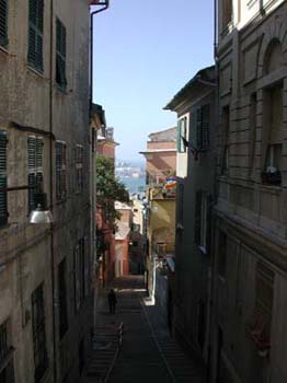 DSCN3519