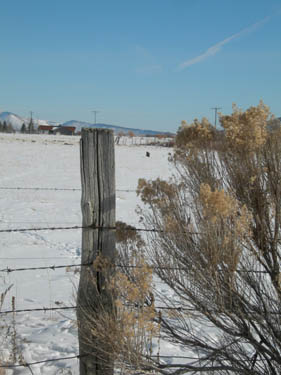 DSCN3173