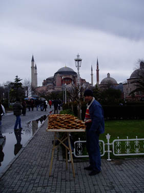 P1010491