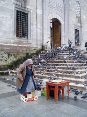 P1010538