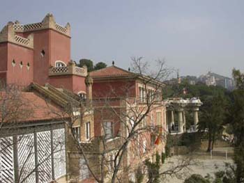 DSCN5952