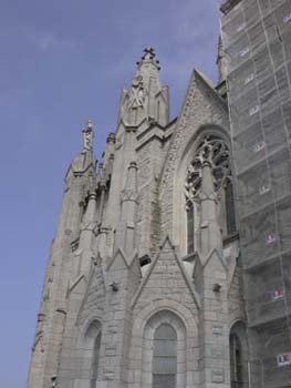 DSCN5976